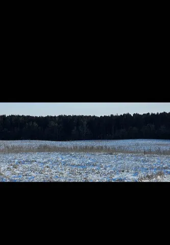 $208,000 | Tbd Tbd 219th, Park Rapids, MN 56470