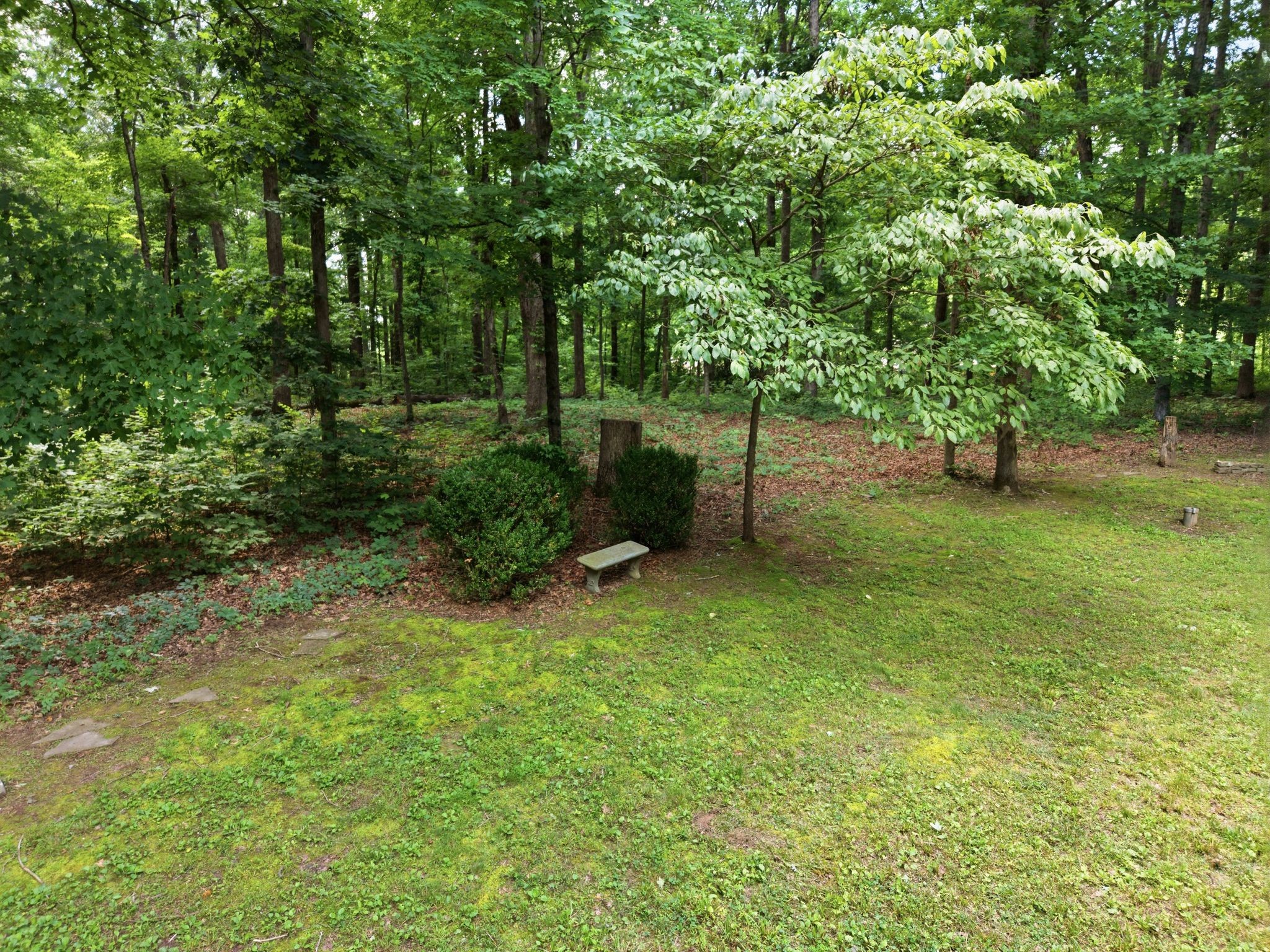 1225 Johnny Hall Road Burns, TN 37029 - Photo 47 of 48