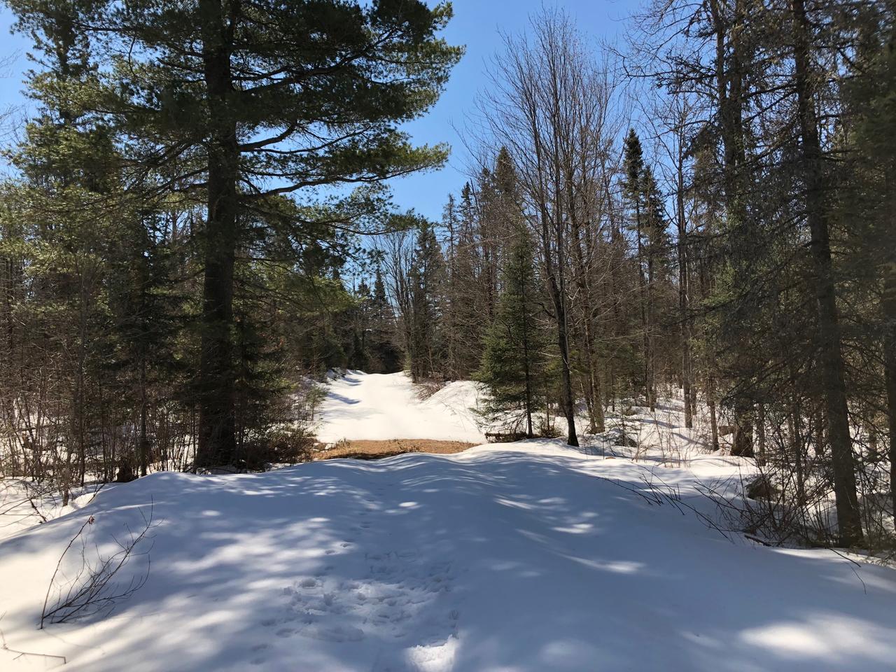 Off West Harding Road Bessemer, MI 49911 - Photo 26 of 30 Gallery Image 26