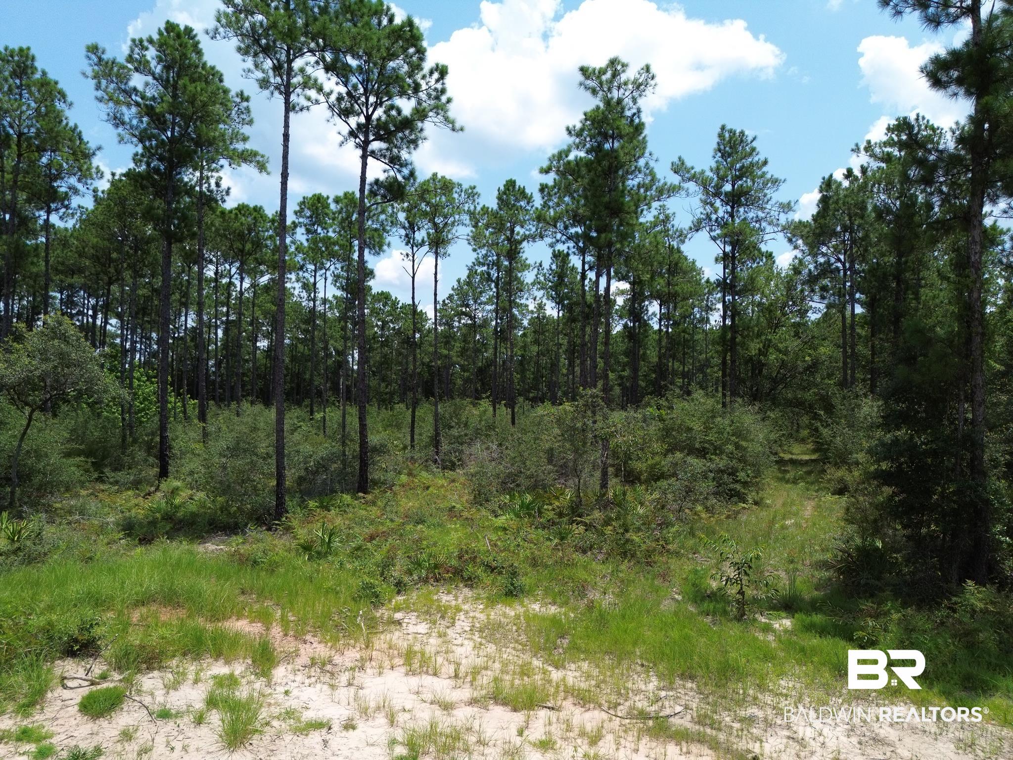 0 Kings Landing Road Seminole, AL 36574 - Photo 2 of 7
