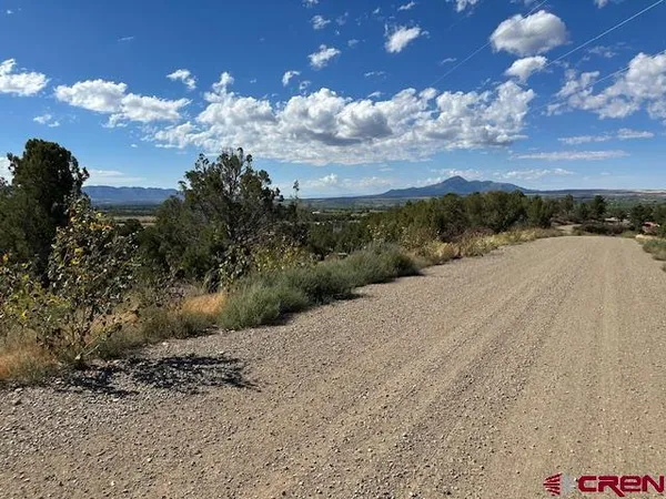 $113,600 | V4 Dolores Co 81323, Dolores, CO 81323