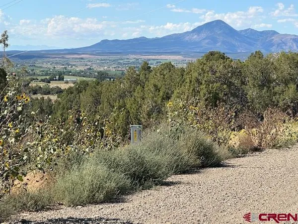 a view of a yard with mountains in the background
