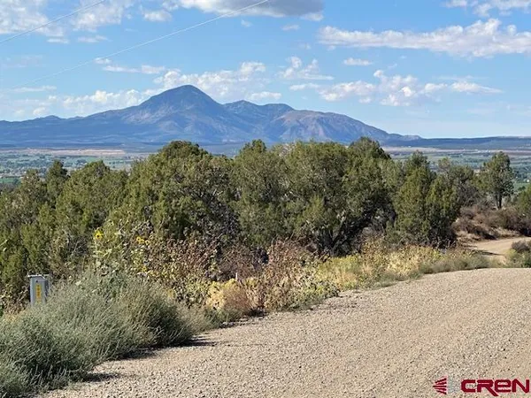 a view of a field of mountains and valleys