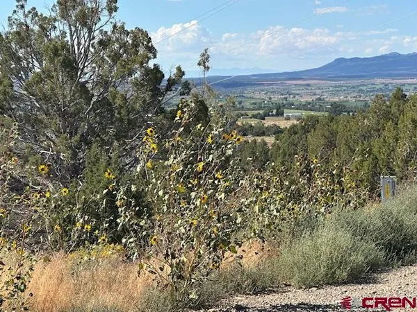 a view of a tree in a field