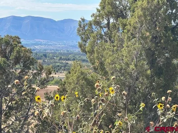an aerial view of a house with a yard basket ball court