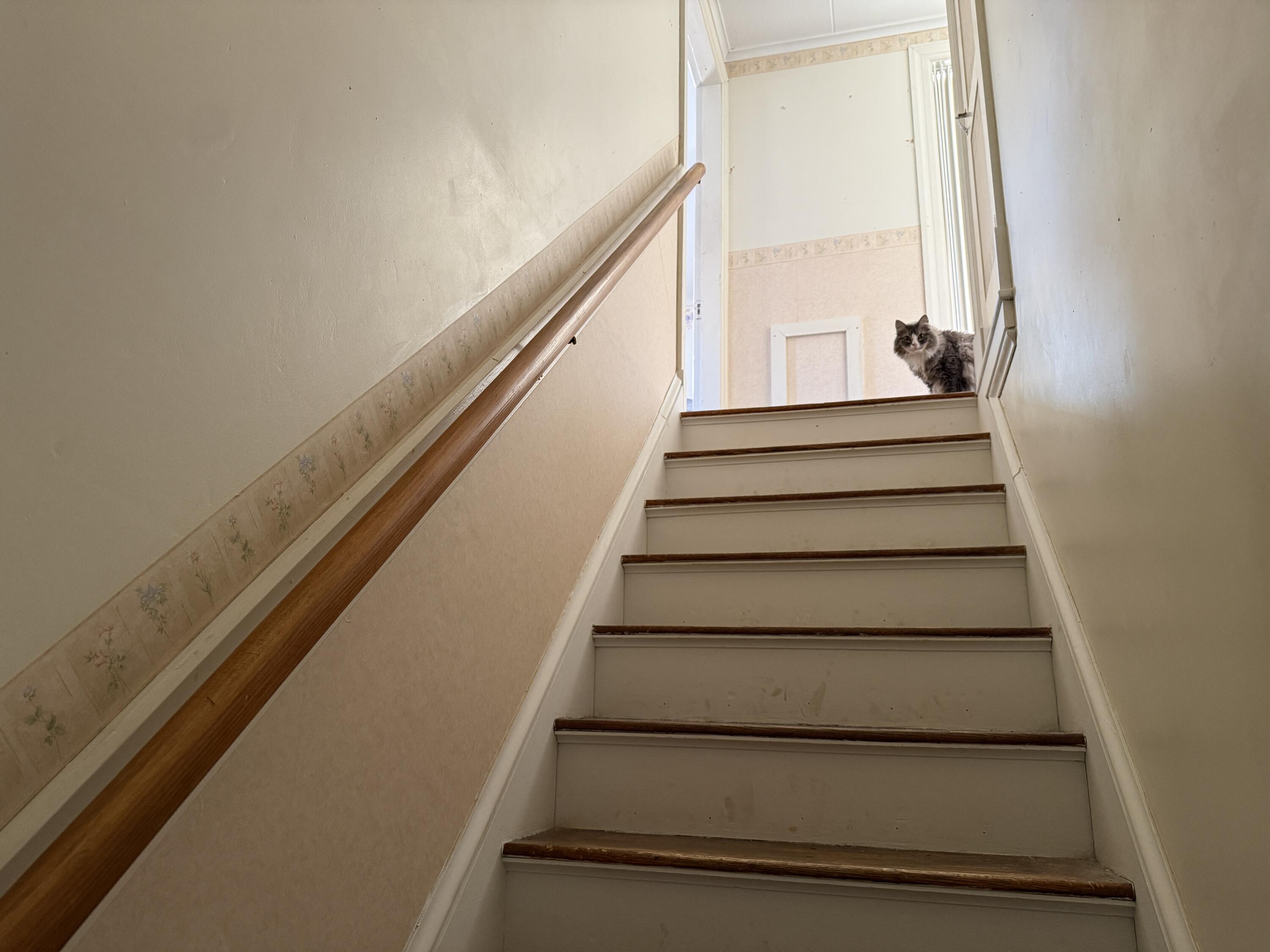 49 Elm Street Houlton, ME 04730 - Photo 24 of 28 IMG_2496