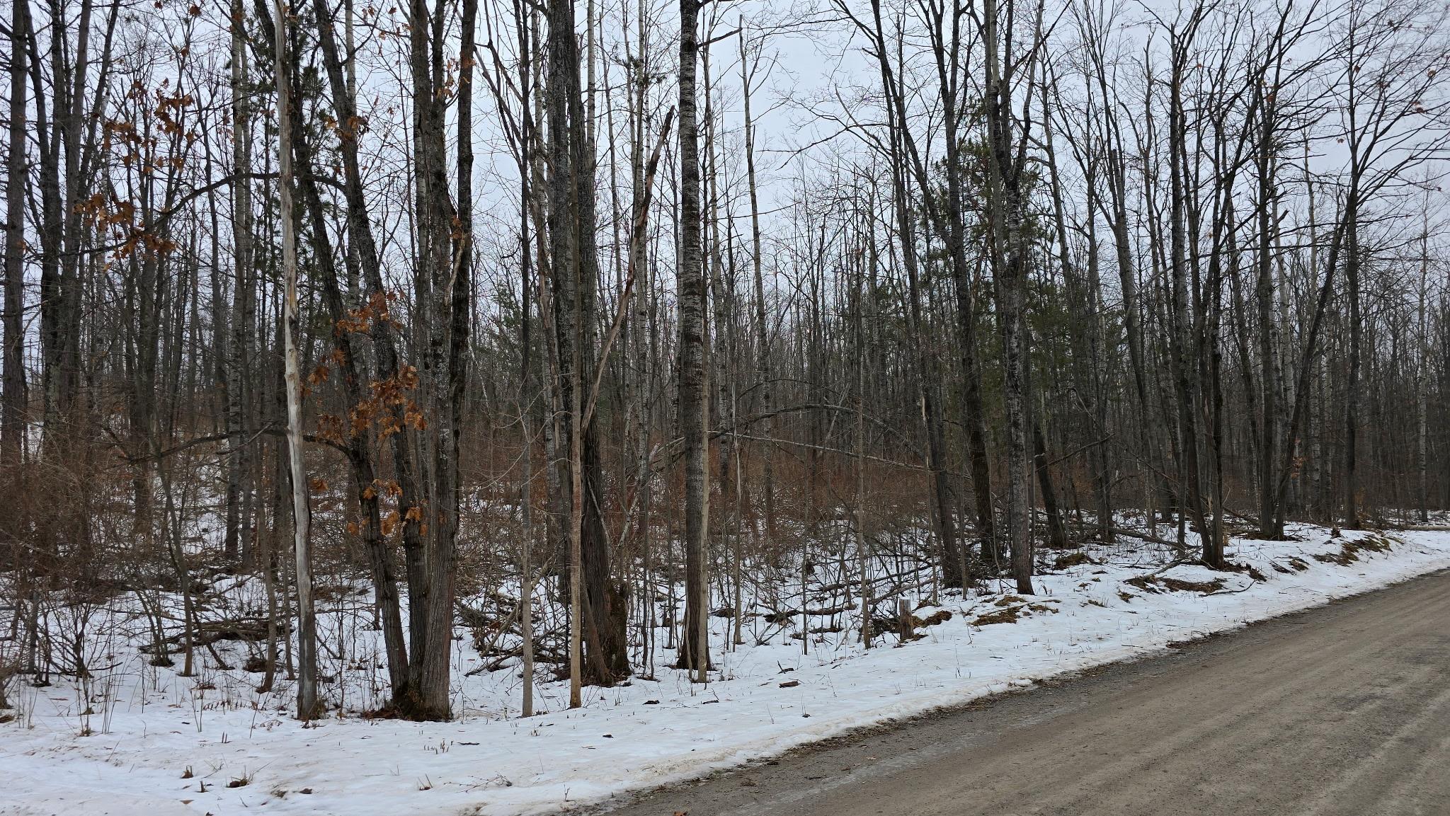 13384 Bartz Road Hubbard Lake, MI 49747 - Photo 2 of 9