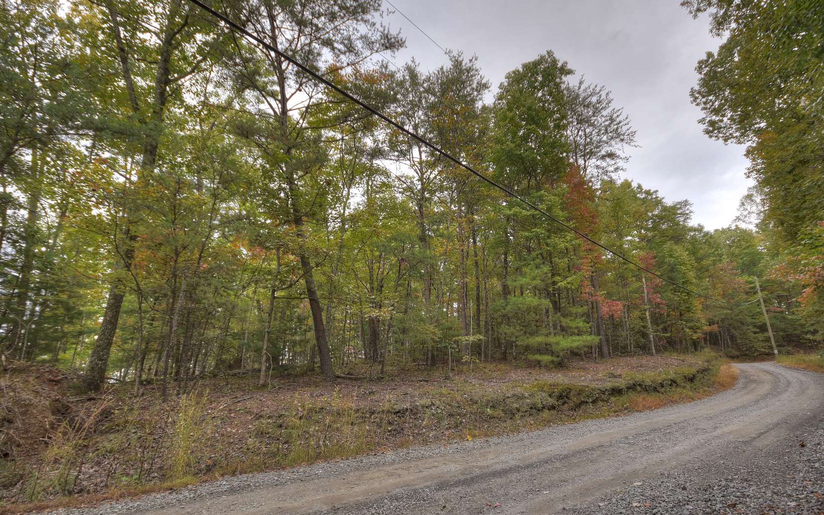 0 Laurel Ridge Drive Blue Ridge, GA 30513 - Photo 1 of 1 a view of a forest filled with trees