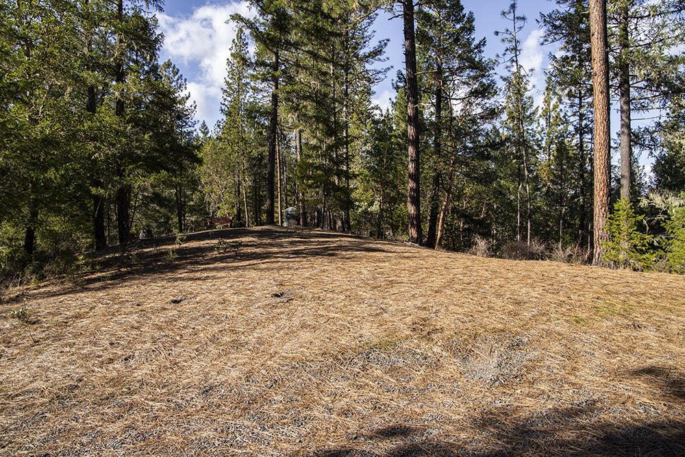 1700 Tetherow Road Williams, OR 97544 - Photo 17 of 27 16