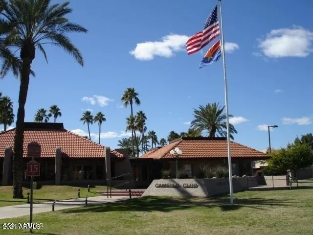 a view of a park with large trees