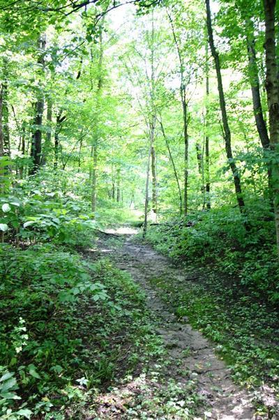 13121 Coveney Road Buchanan, MI 49107 - Photo 23 of 24 Additional Photo
