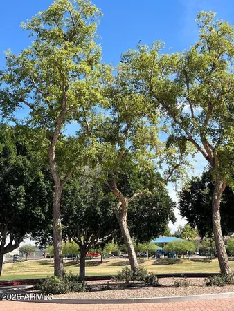a picture of a park