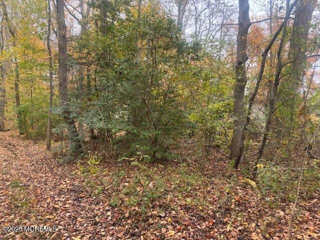 23 Kuzyk Road Cream Ridge, NJ 08514 - Photo 2 of 9 a view of a yard with lots of bushes