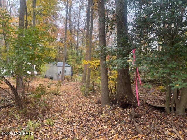 23 Kuzyk Road Cream Ridge, NJ 08514 - Photo 3 of 9 a backyard of a house with lots of green space