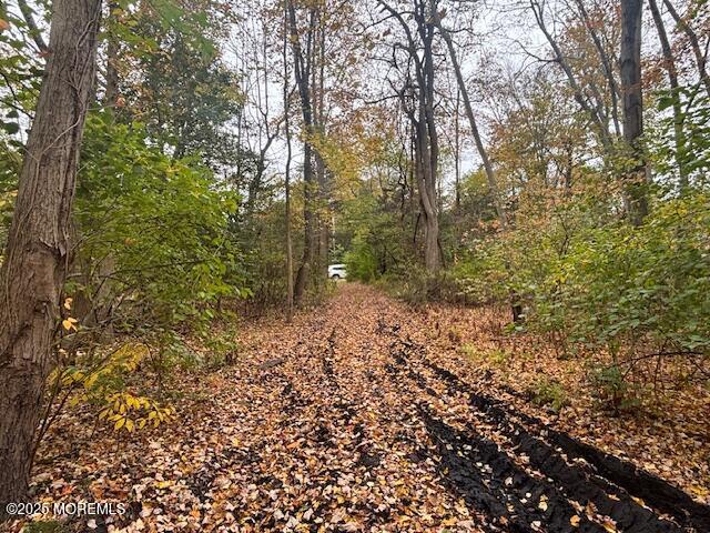 23 Kuzyk Road Cream Ridge, NJ 08514 - Photo 5 of 9 a view of a forest that has large trees