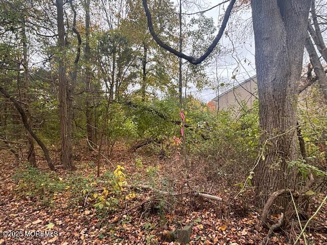 23 Kuzyk Road Cream Ridge, NJ 08514 - Photo 6 of 9 a view of a yard with a tree