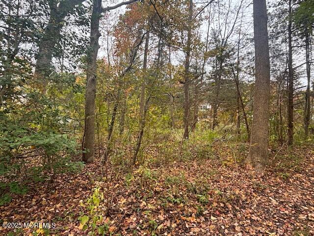 23 Kuzyk Road Cream Ridge, NJ 08514 - Photo 7 of 9 a view of a yard with trees