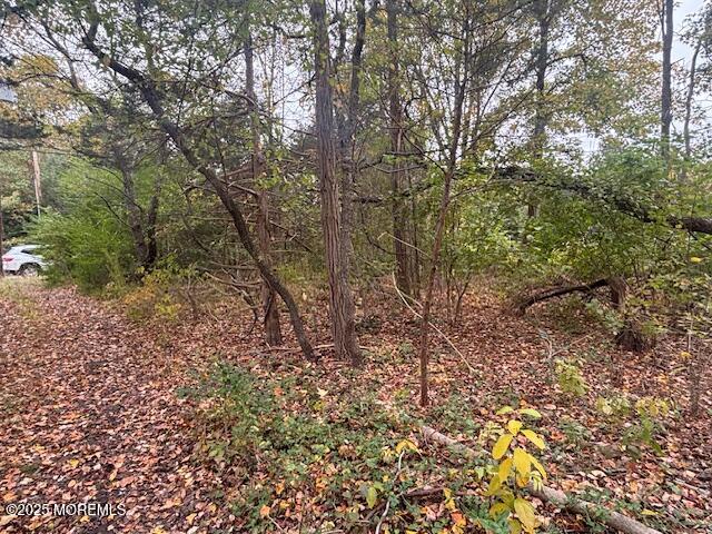 23 Kuzyk Road Cream Ridge, NJ 08514 - Photo 8 of 9 a view of a yard with a tree