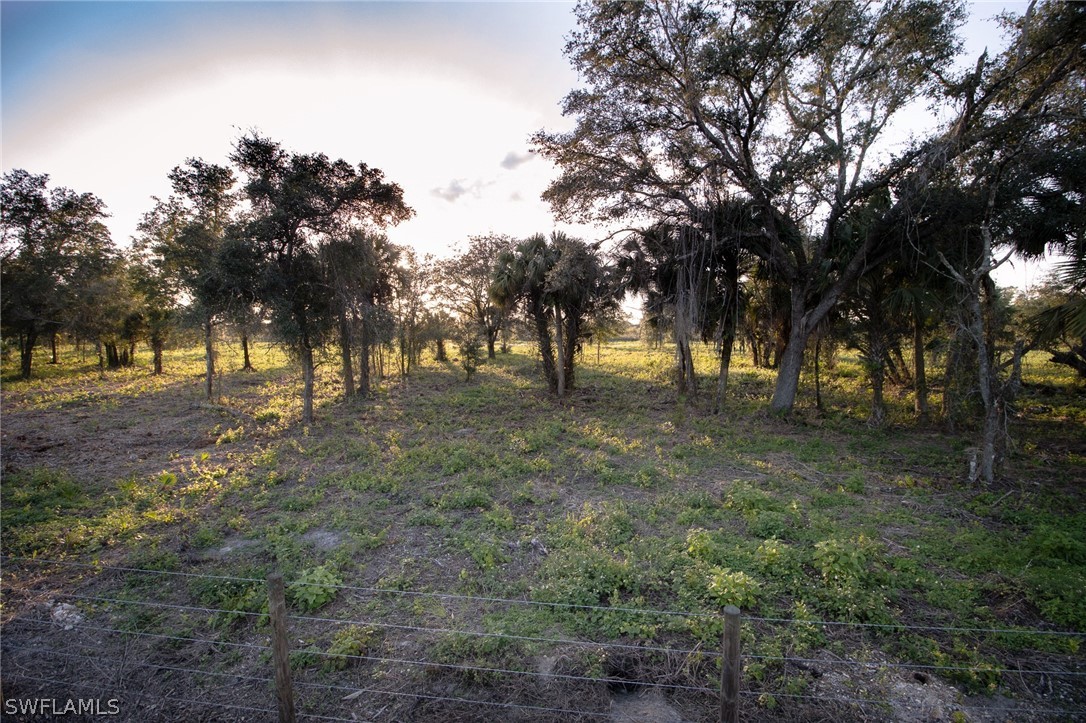 3711 Bateman Road Alva, FL 33920 - Photo 28 of 34 Gallery Image 28