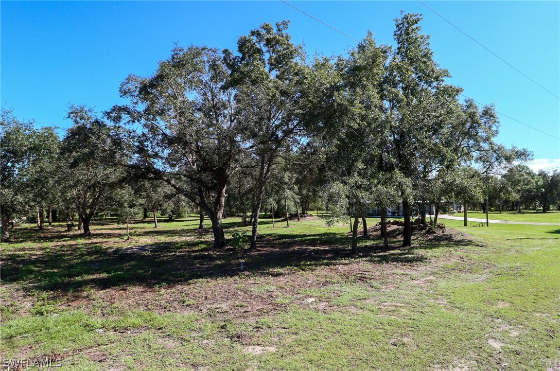 3711 Bateman Road Alva, FL 33920 - Photo 29 of 34 Gallery Image 29