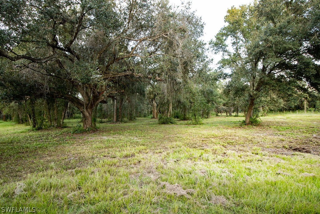 3711 Bateman Road Alva, FL 33920 - Photo 30 of 34 Gallery Image 30