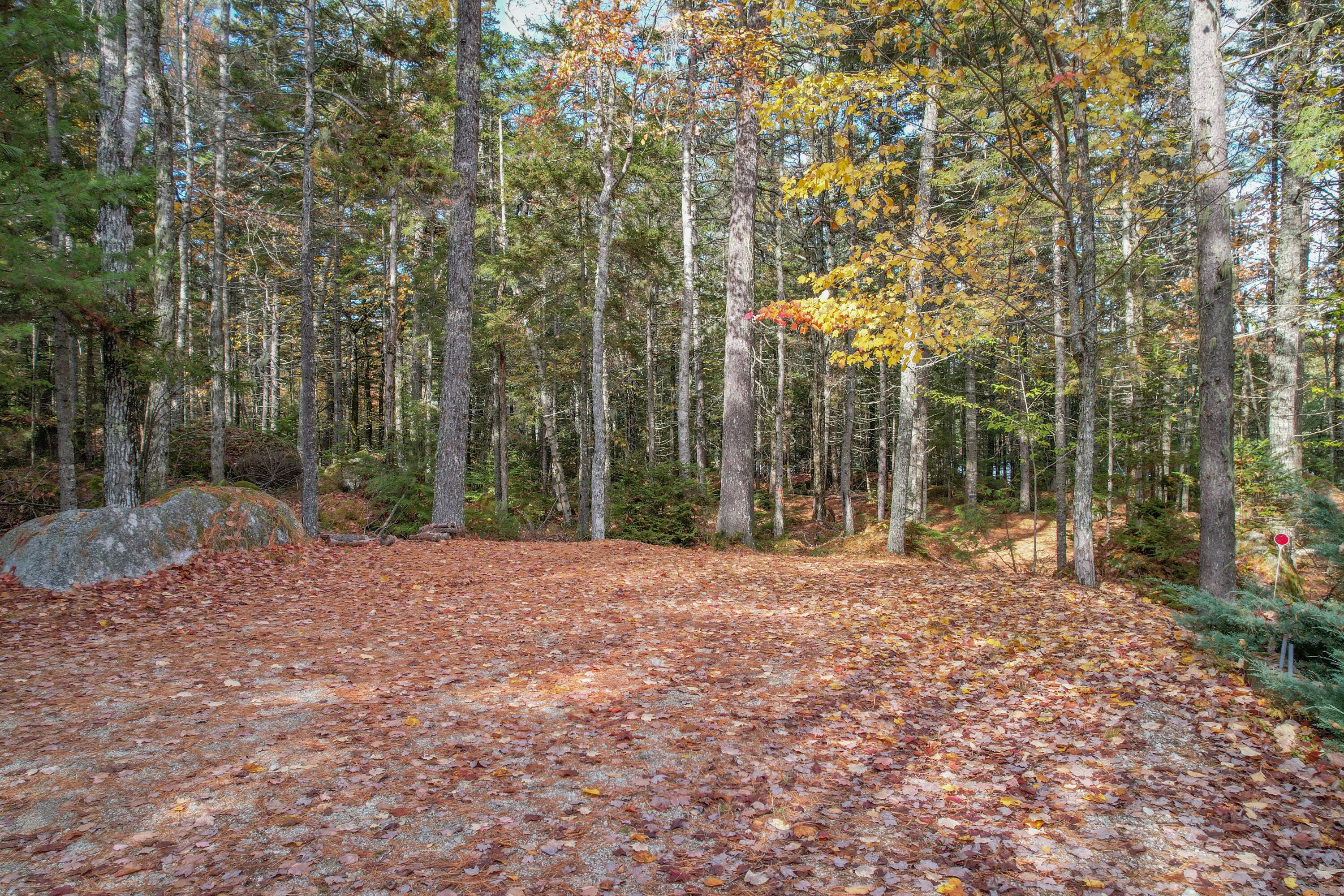 155 Long Point Way Orland, ME 04472 - Photo 36 of 65 Parking area
