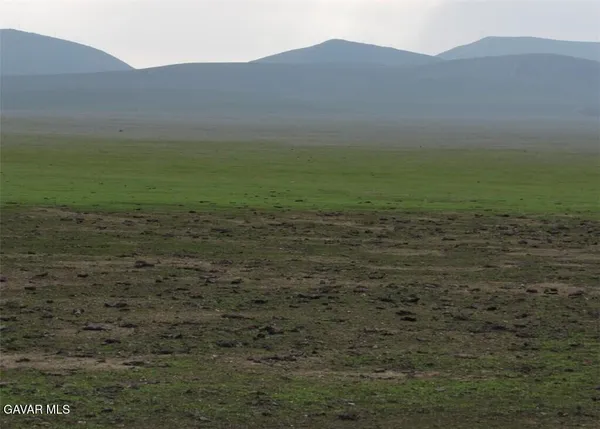 a view of a field with an ocean in the background