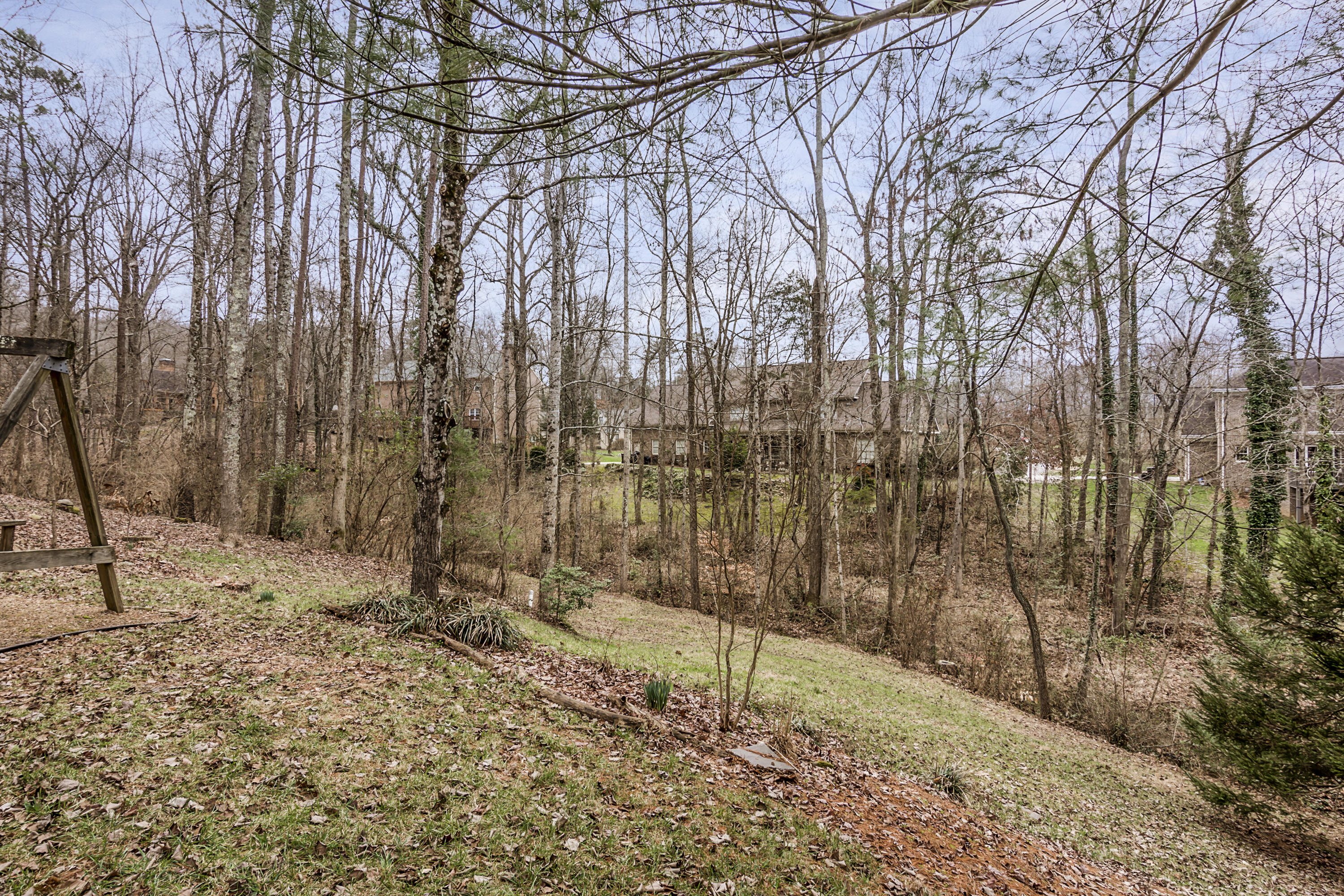 206 Connors Circle Oak Ridge, TN 37830 - Photo 28 of 30 Back Yard-206 Connors