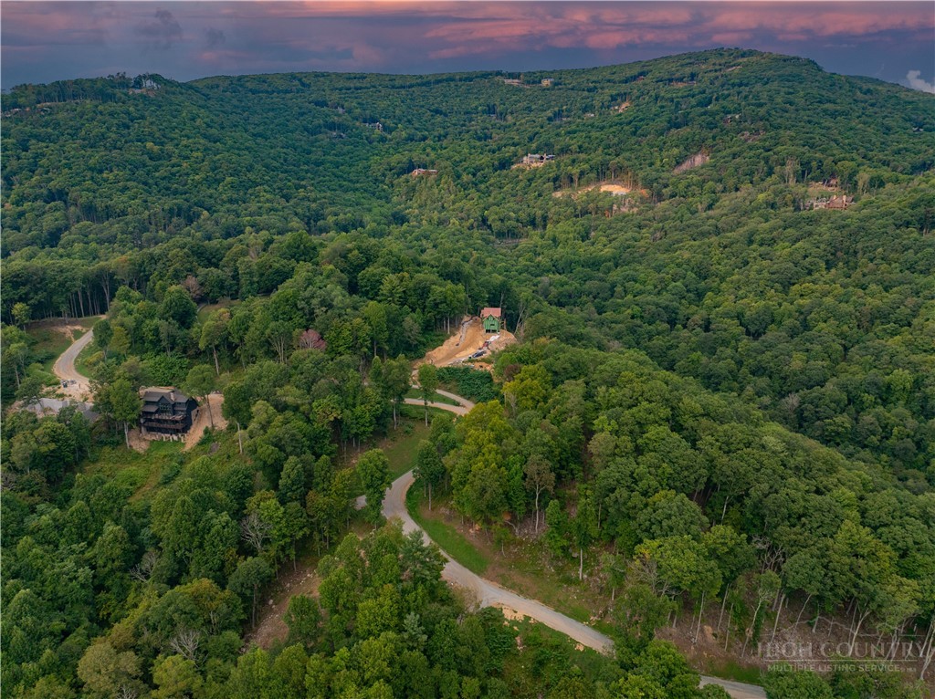 C120 Springwater Lane Banner Elk, NC 28604 - Photo 10 of 13