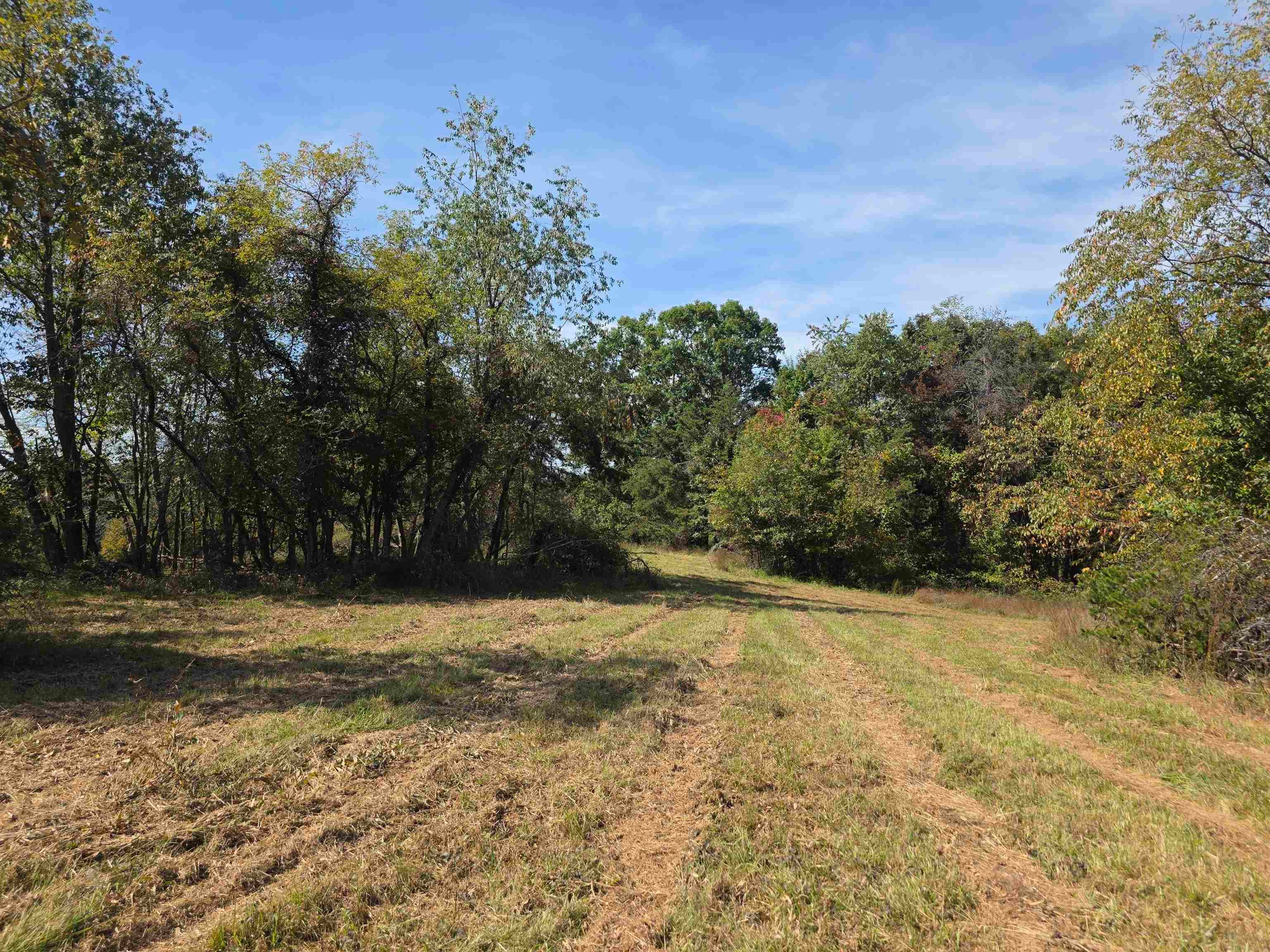 Tbd Ridge Road Northeast Pilot, VA 24138 - Photo 12 of 26 Gallery Image 12
