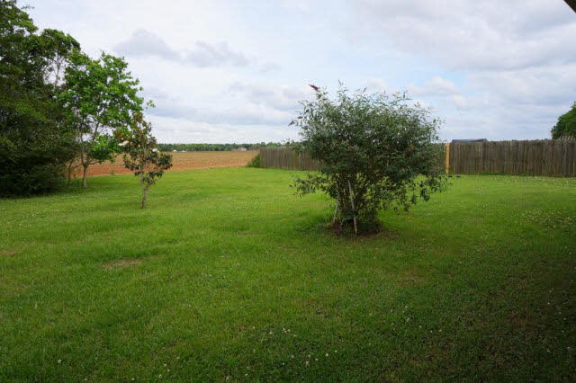 27810 Rileywood Drive Daphne, AL 36526 - Photo 14 of 16 Back yard