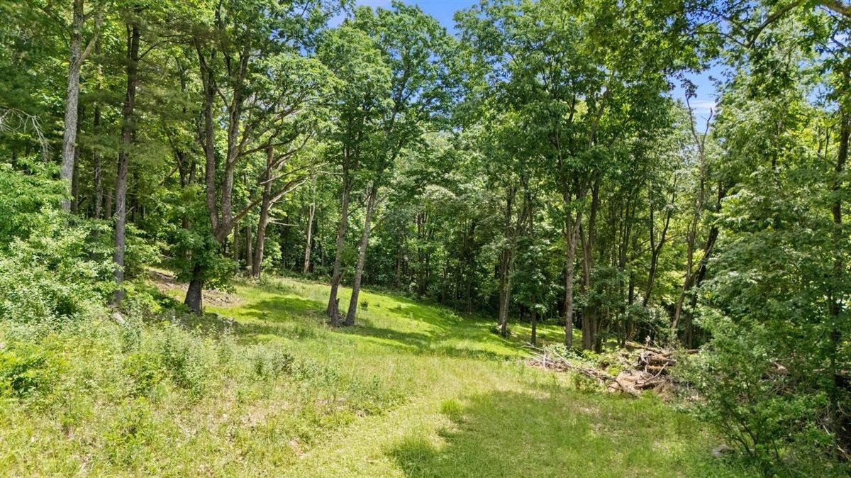 Lot 19-20 Hidden Hill Road Stanley, VA 22851 - Photo 20 of 20