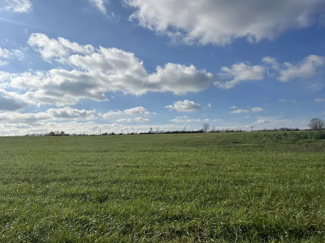 a view of an outdoor space and yard