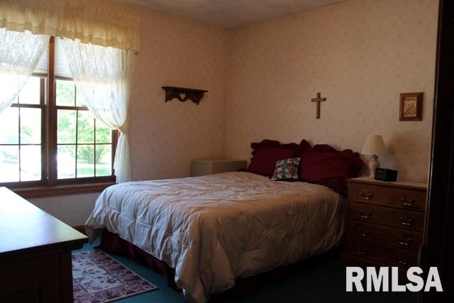 1509 County Road Congerville, IL 61729 - Photo 19 of 36