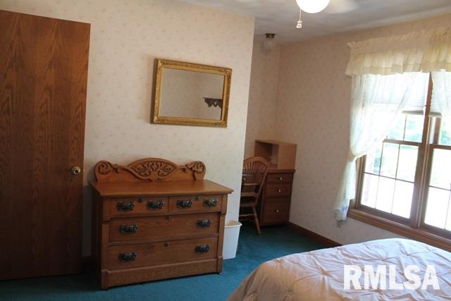 1509 County Road Congerville, IL 61729 - Photo 20 of 36