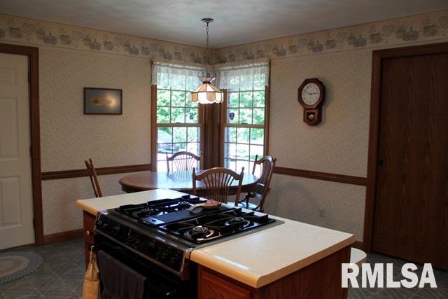 1509 County Road Congerville, IL 61729 - Photo 9 of 36