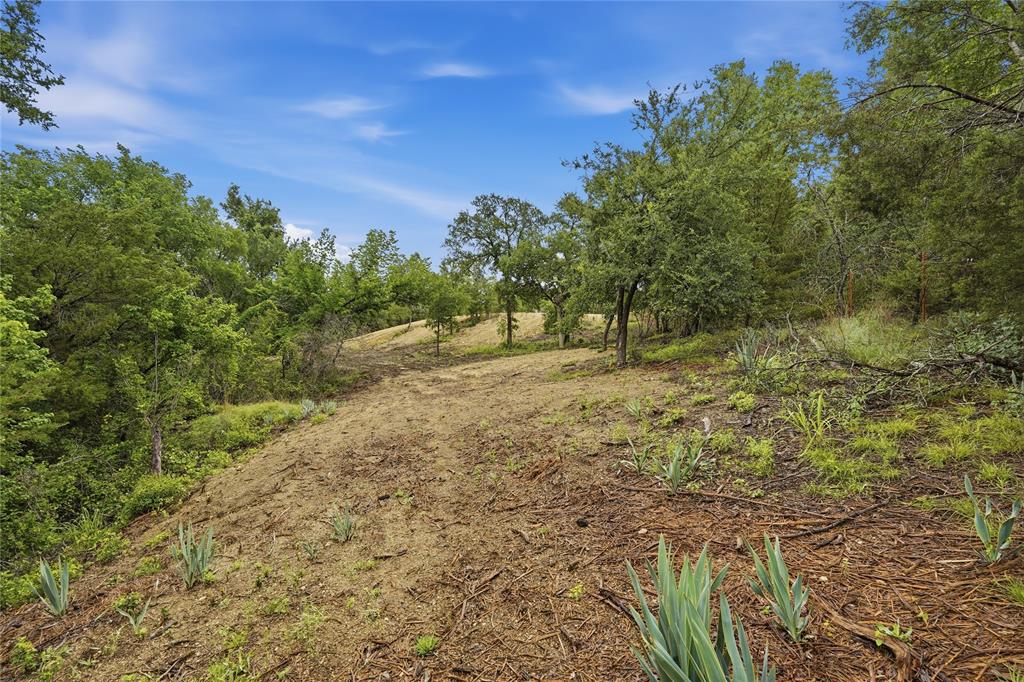 Tbd Northview Road Aledo, TX 76008 - Photo 26 of 35 a view of a yard with plants and trees