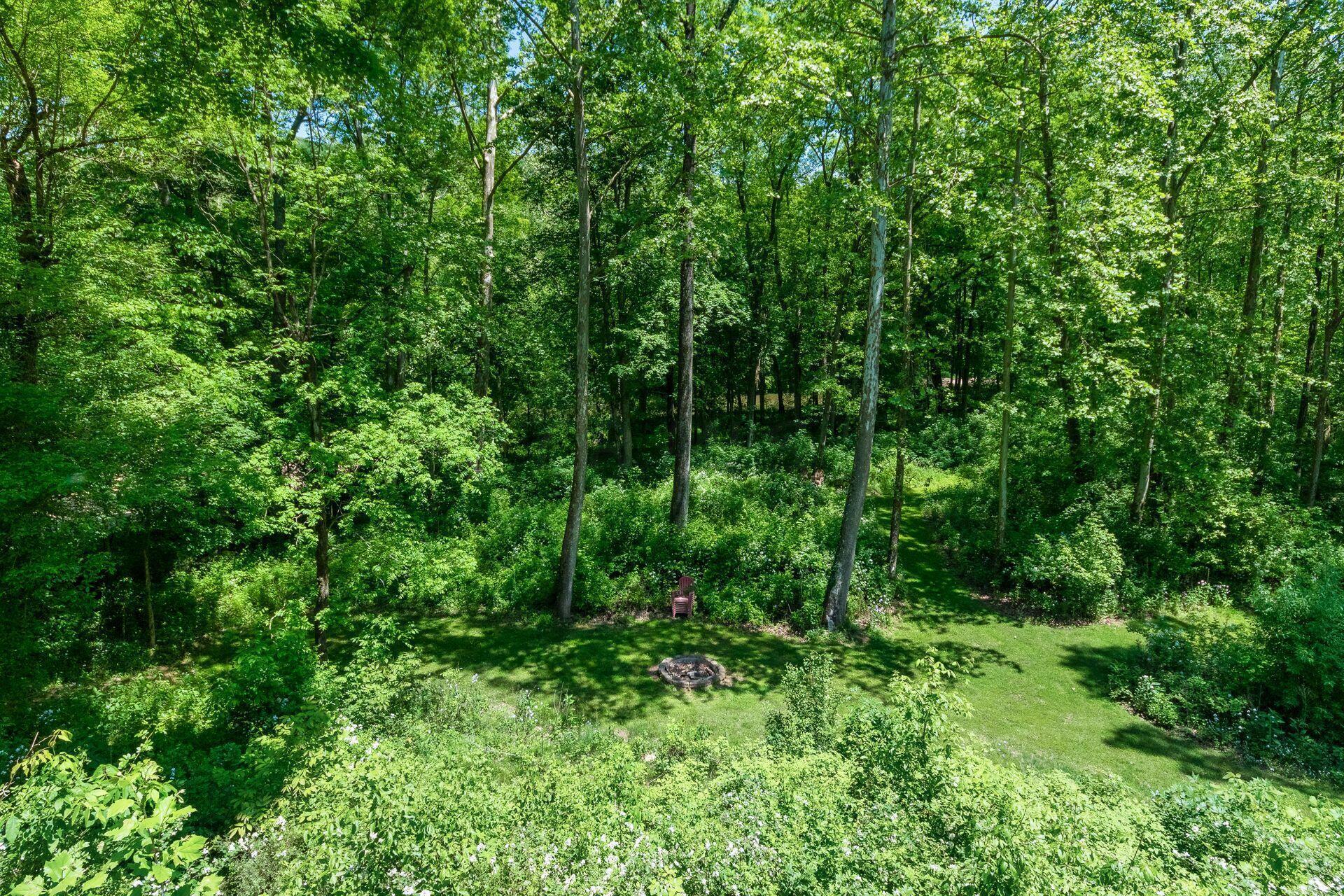 11444 Hazel Dell Road Howard, OH 43028 - Photo 37 of 41 View from the back deck of the surrounding woodlands.
