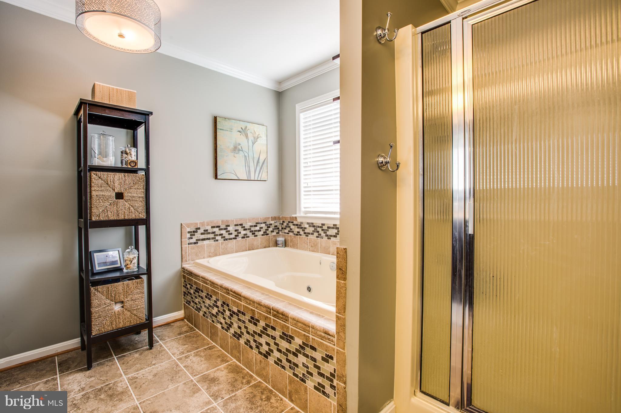 10045 Rogues Road Midland, VA 22728 - Photo 18 of 25 Beautiful tile, jetted tub