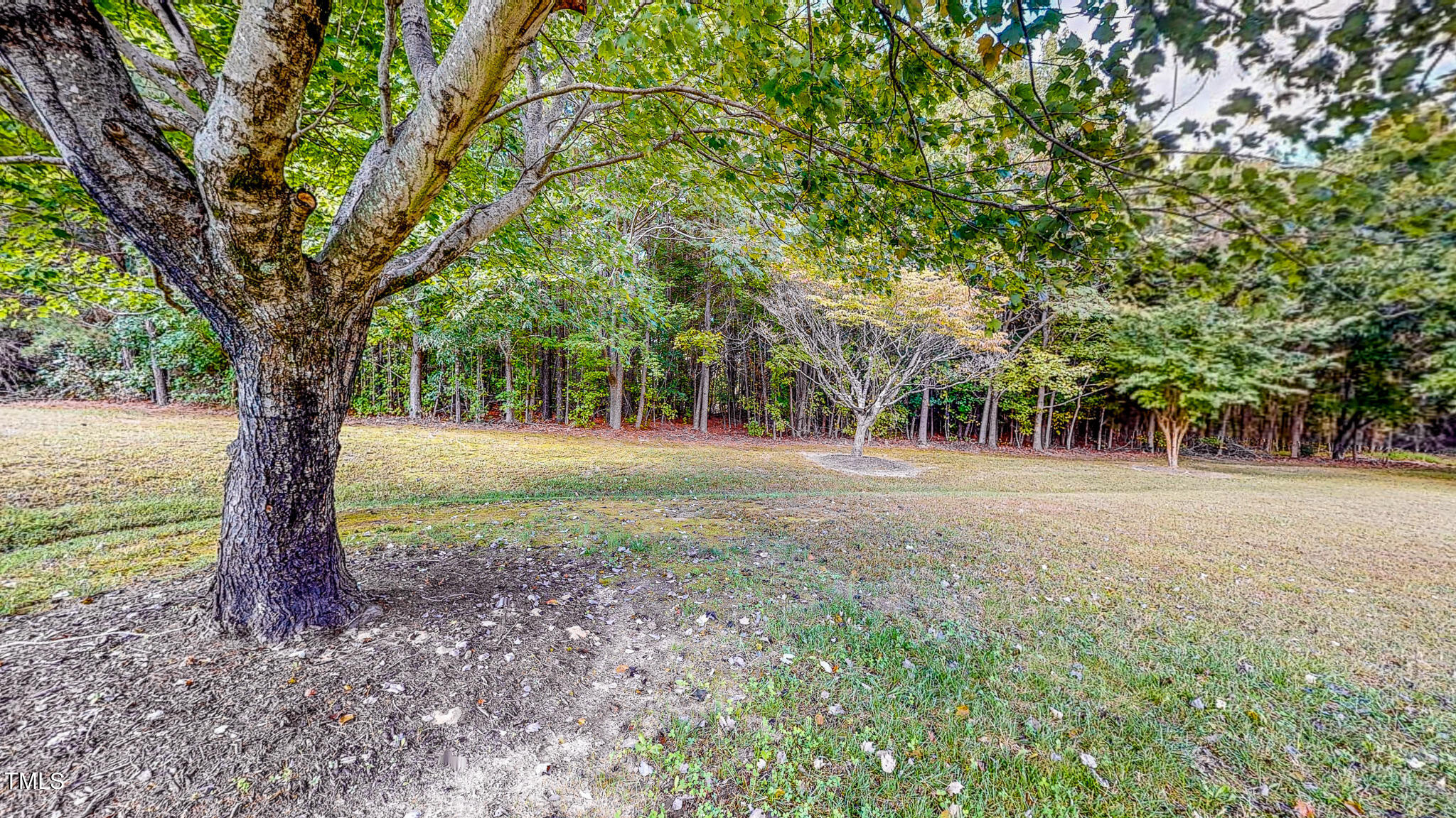 1035 Ridge Road Roxboro, NC 27573 - Photo 39 of 42 10.08.2024_16.38.31