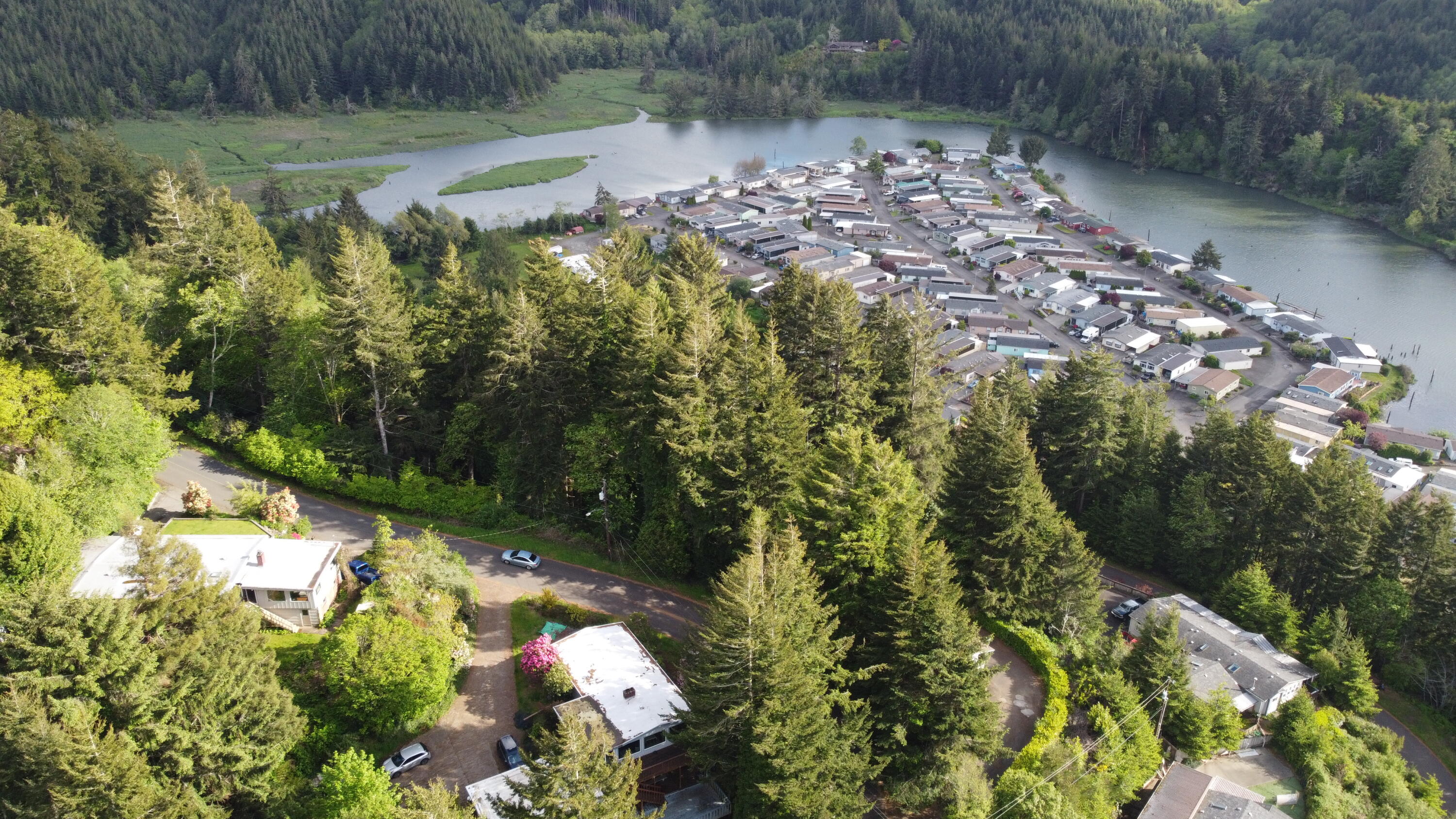 489 Crestview Drive Reedsport, OR 97467 - Photo 6 of 33 DJI_0497