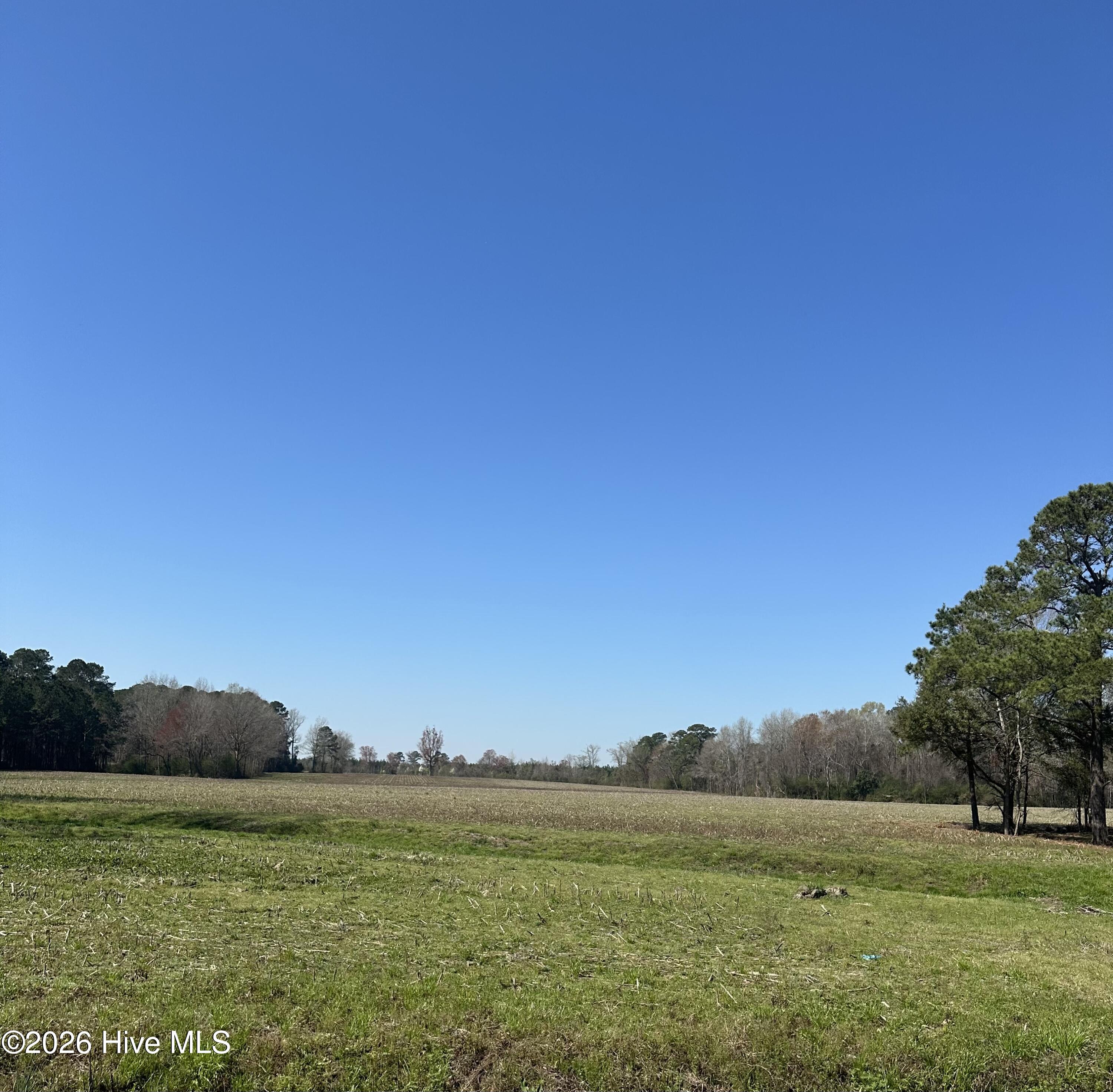 70 Rough Horn Road Evergreen, NC 28438 - Photo 12 of 29 IMG_8693