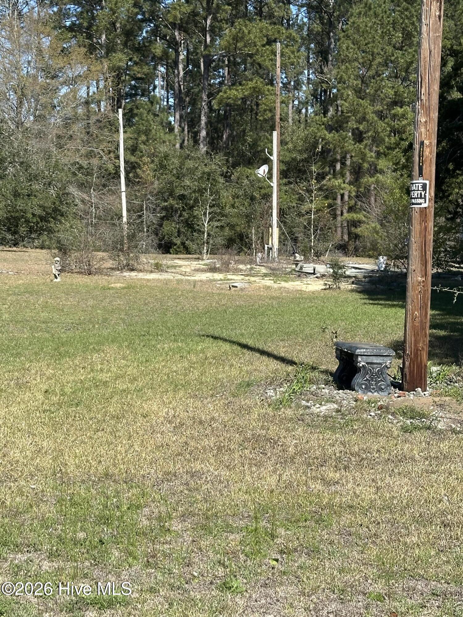 70 Rough Horn Road Evergreen, NC 28438 - Photo 29 of 29 IMG_8893