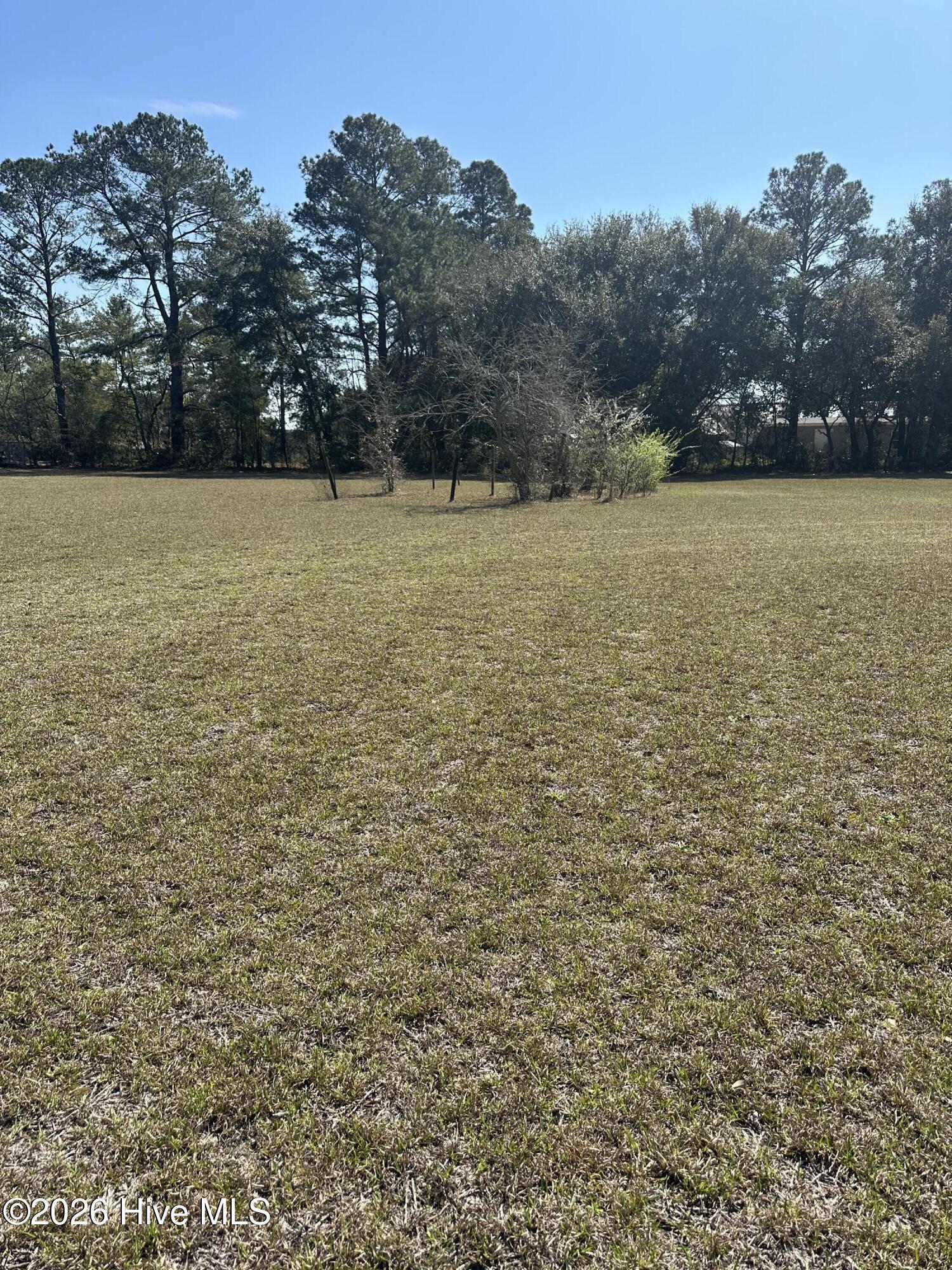 70 Rough Horn Road Evergreen, NC 28438 - Photo 5 of 29 IMG_8708