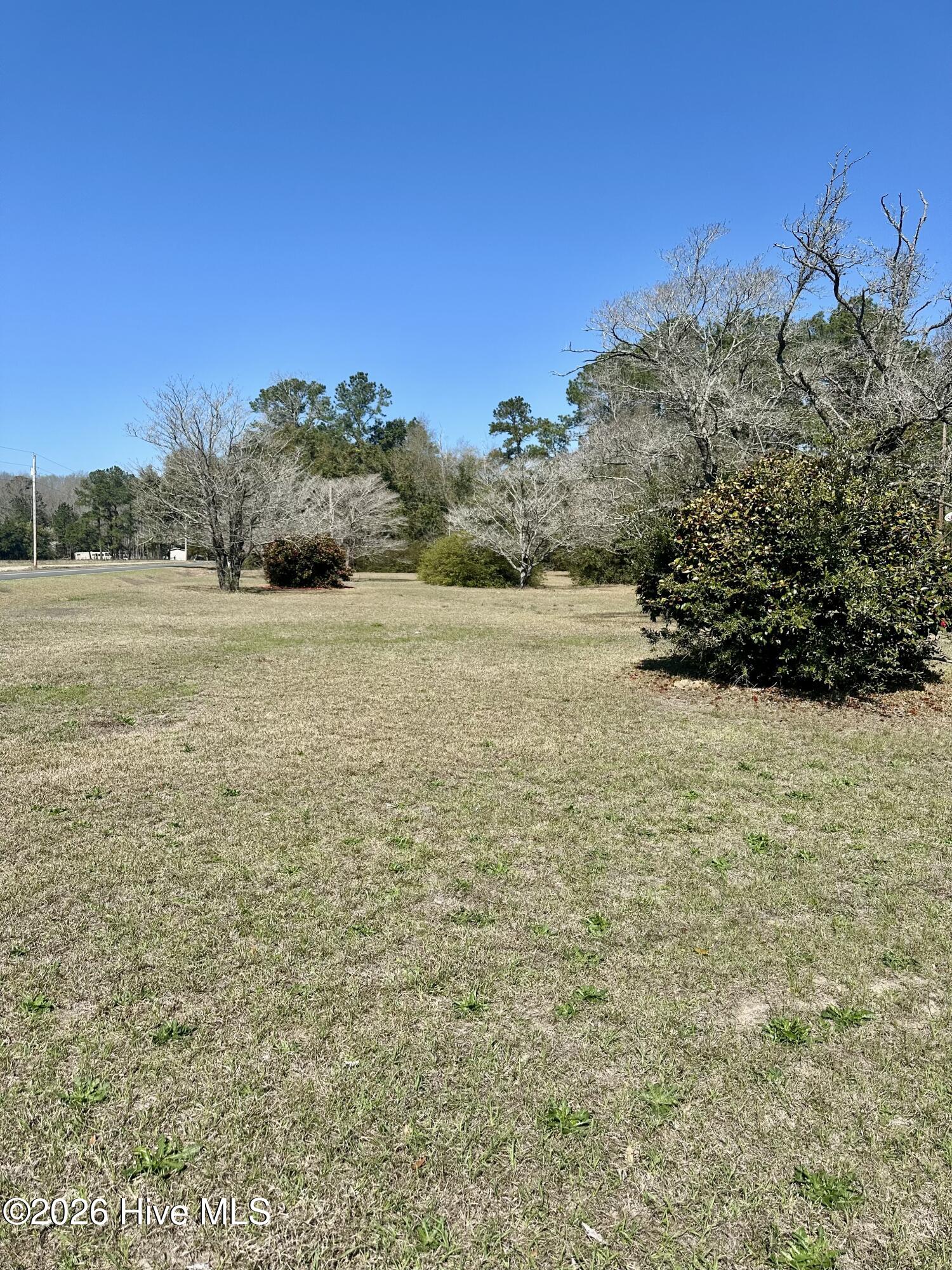 70 Rough Horn Road Evergreen, NC 28438 - Photo 9 of 29 IMG_8700