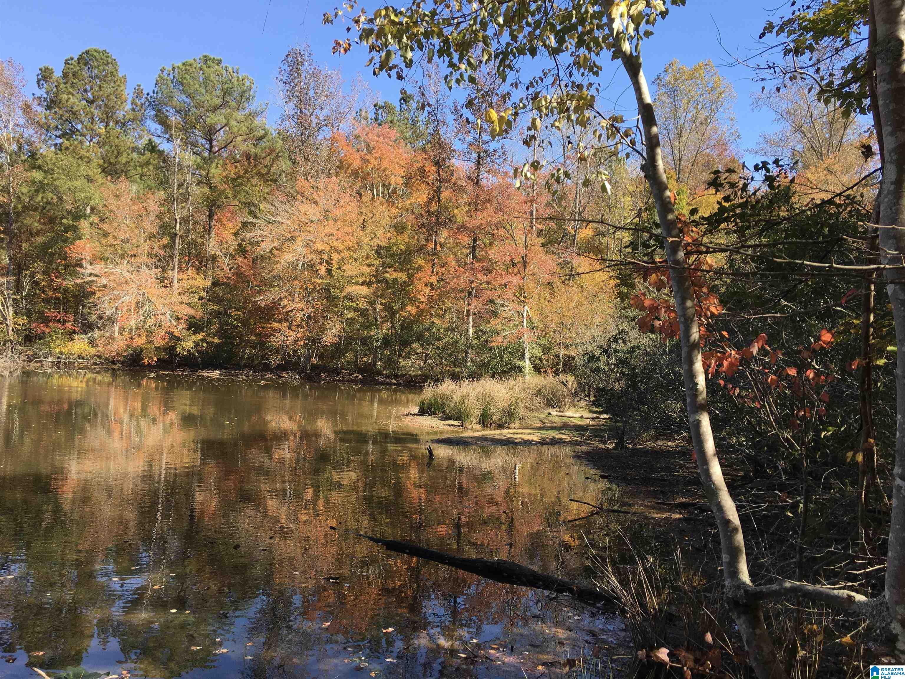 8760 Marsh Mountain Road, Unit 223 Pinson, AL 35126 - Photo 12 of 51