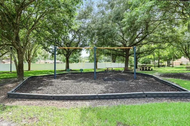 a view of a park with large trees