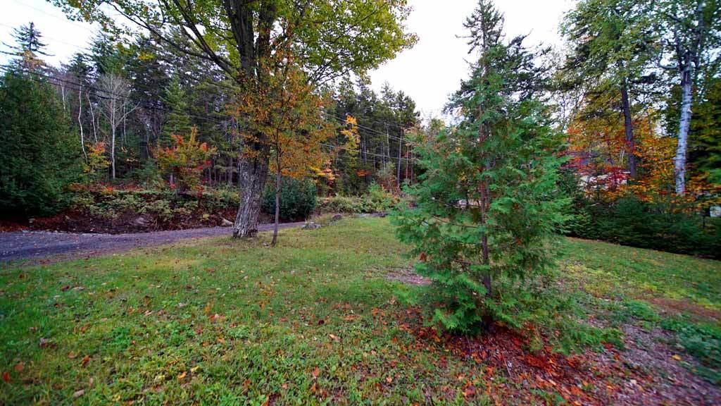 93 South Shore Road Linneus, ME 04730 - Photo 15 of 47 land-drews-lake-lot-93