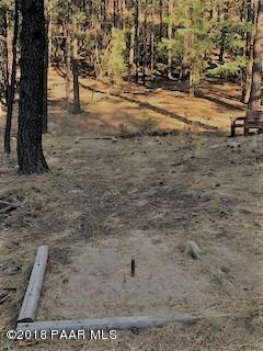 3979 East Sheldon Road Prescott, AZ 86303 - Photo 22 of 28 Horseshoe Pit