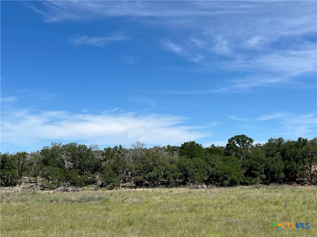 Tbd Narrows Road Blanco, TX 78606 - Photo 1 of 1 a view of a field of grass and trees